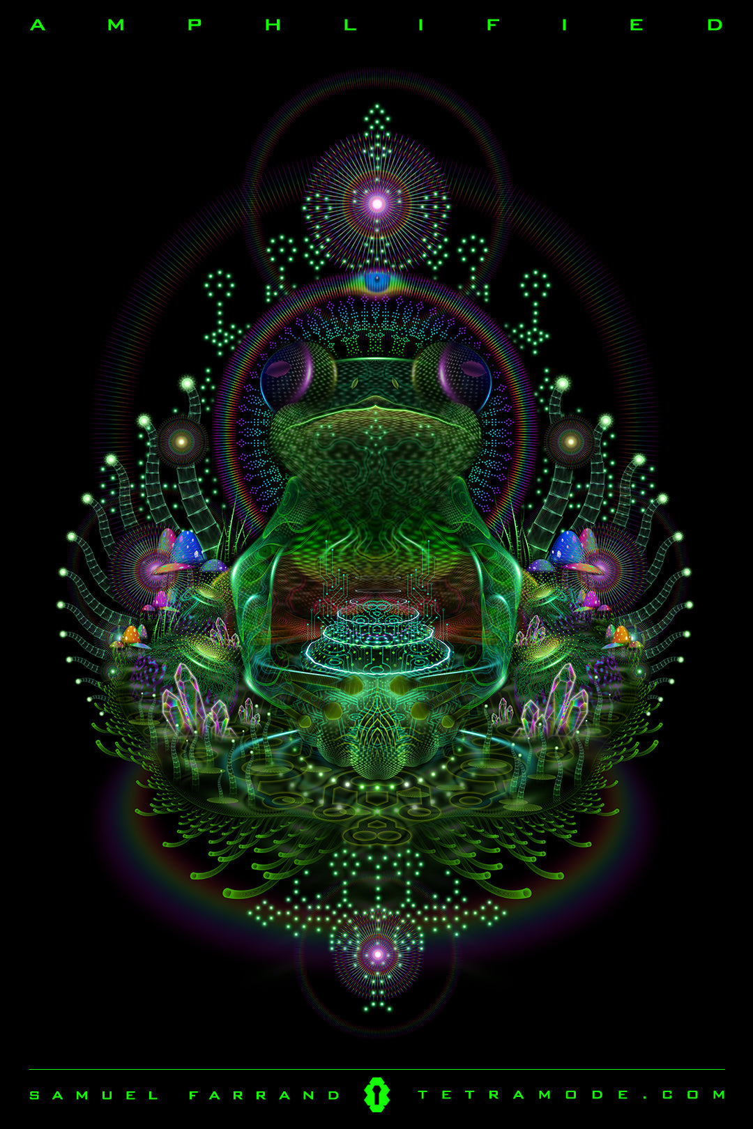 Amphlified artwork by Samuel Farrand featuring a luminous frog totem with psychedelic plants, mushrooms, and geometric patterns on a black background