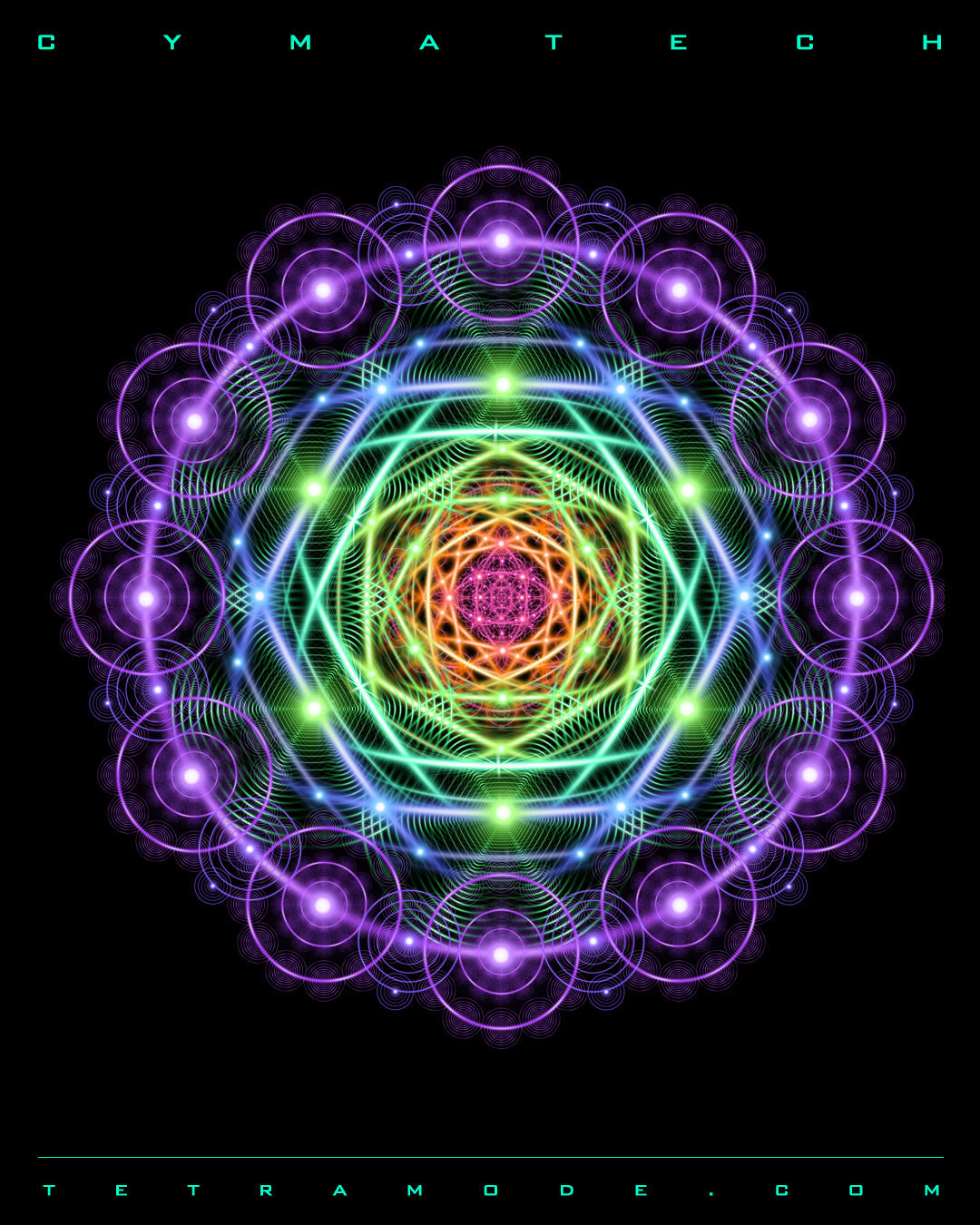 アート・デザイン・音楽 Pure Rhythm: Rhythm Cycles and Polymetri PURE RHYTHM: Rhythm Cycles and Polymetric Patterns for