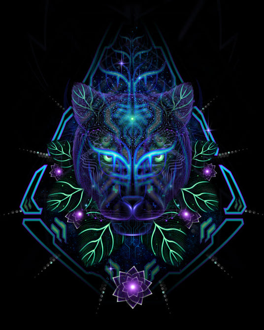 Kaypacha Visionary Art Collection