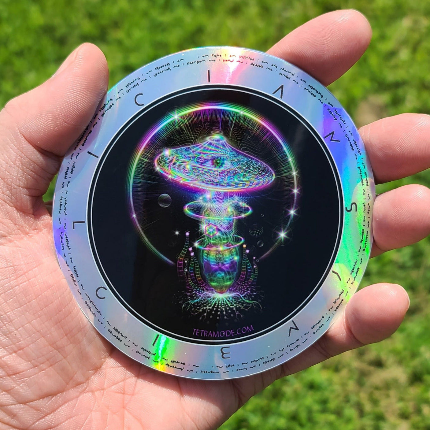 Hand holding a colorful object with a green grass background