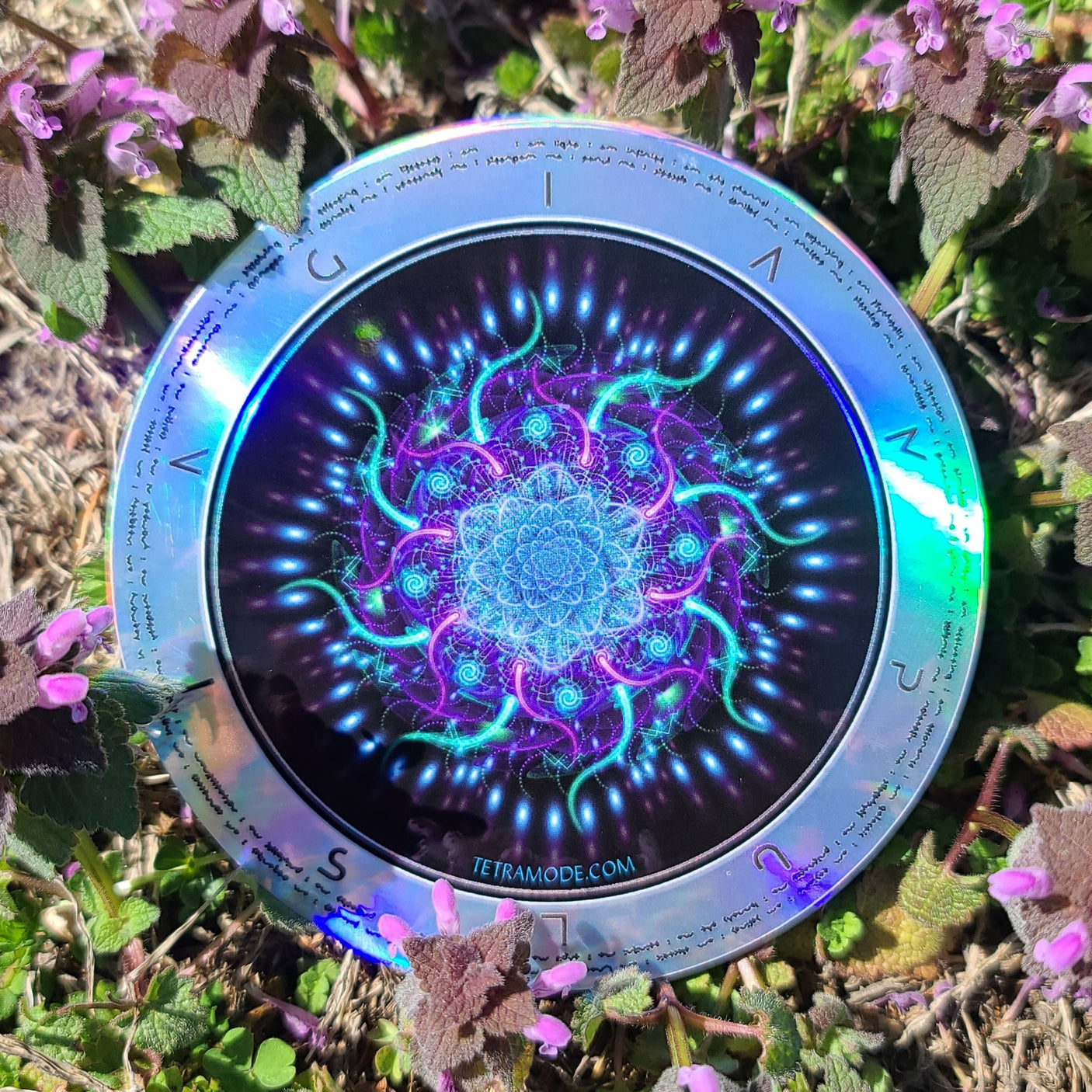 SPYROGEA (I AM PULSING) Holographic Sticker • Design by Samuel Farrand