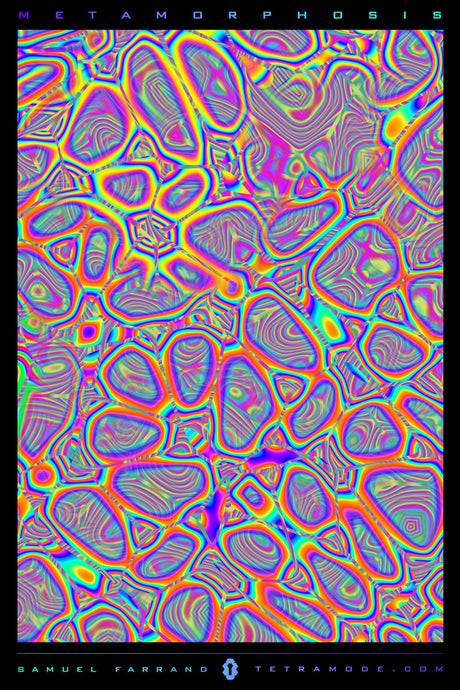 Metamorphosis psychedelic artwork with cellular organic patterns, radiant color gradients, and visionary abstract design by Samuel Farrand