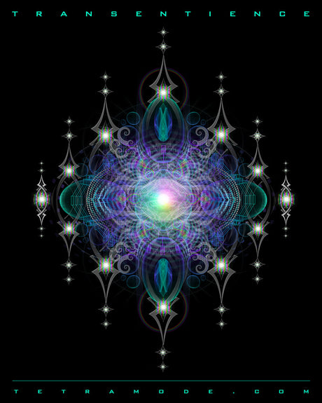 Transentience by Samuel Farrand