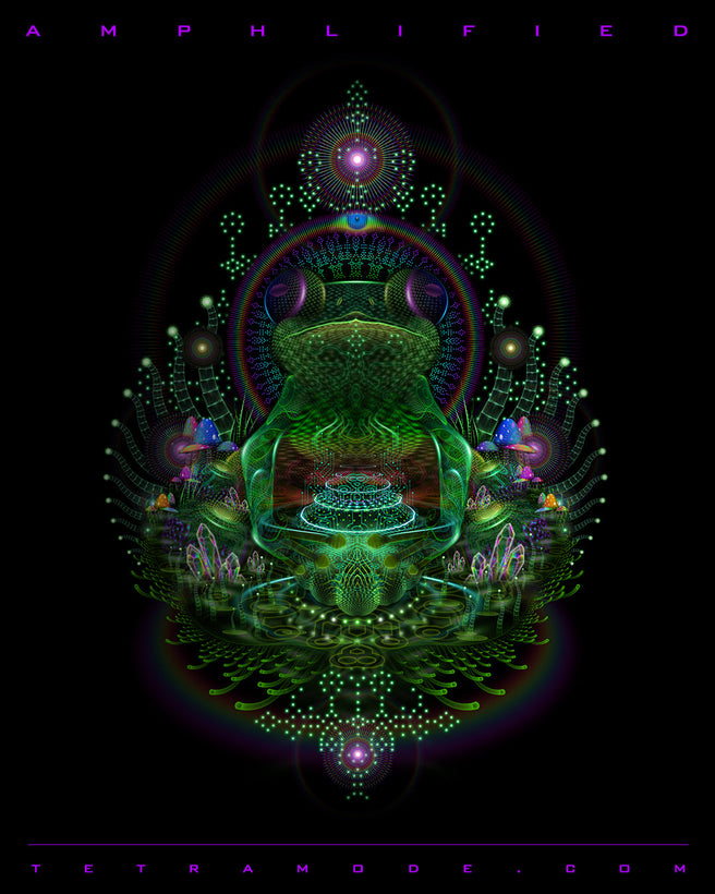 Amphlified