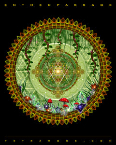 Entheopassage: Psychedelic Art inspired by Magic Mushrooms, Elves & Portals in the Forest