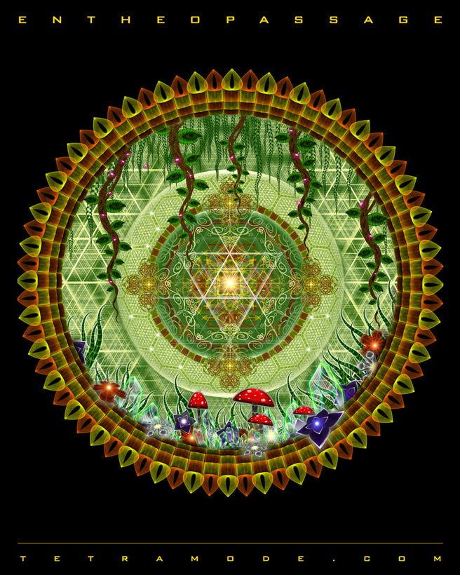 Entheopassage