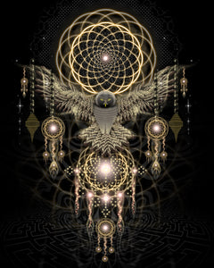Magic Owl