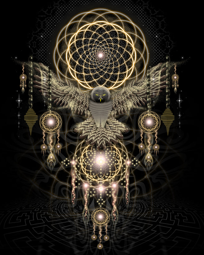 Magic Owl