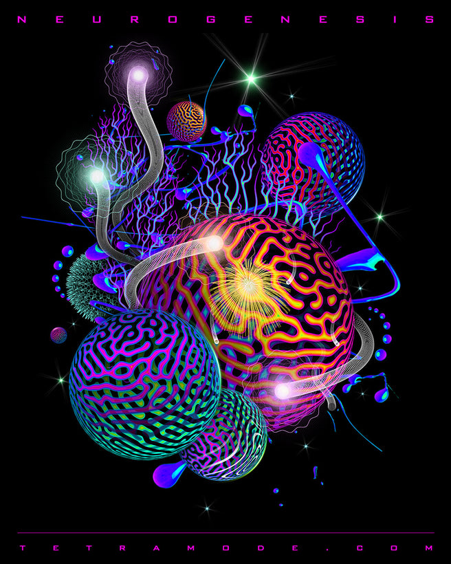 Neurogenesis