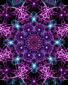 Nucleus