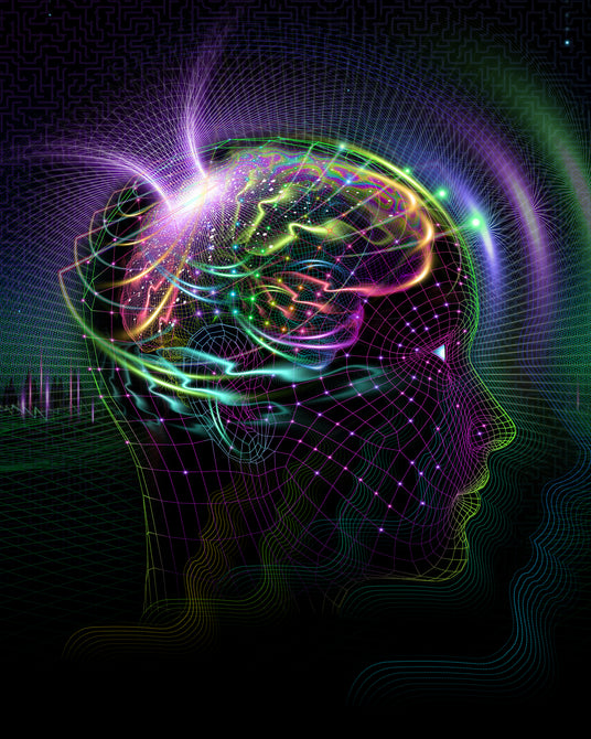 Reprogramming Visionary Art Collection
