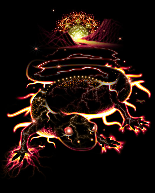 Solamander Visionary Art Collection