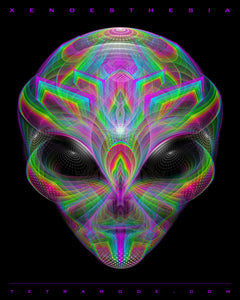 Xenoesthesia