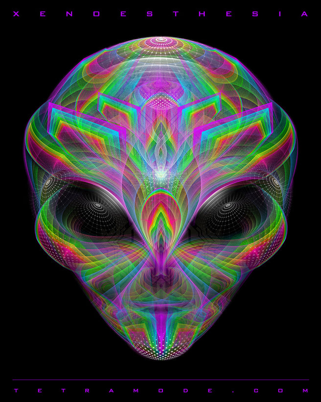 Xenoesthesia