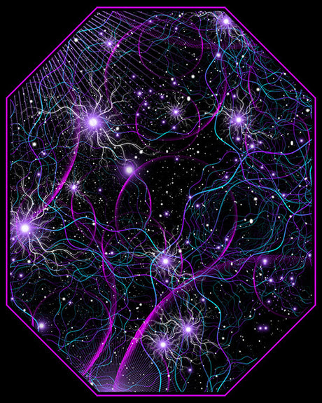 Laniakea Collection