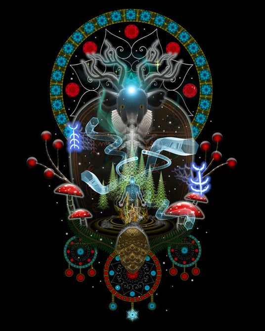 Noaidi Visionary Art Collection