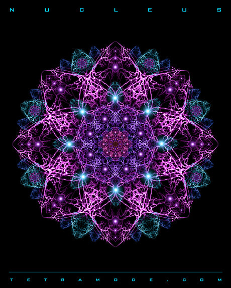 NUCLEUS